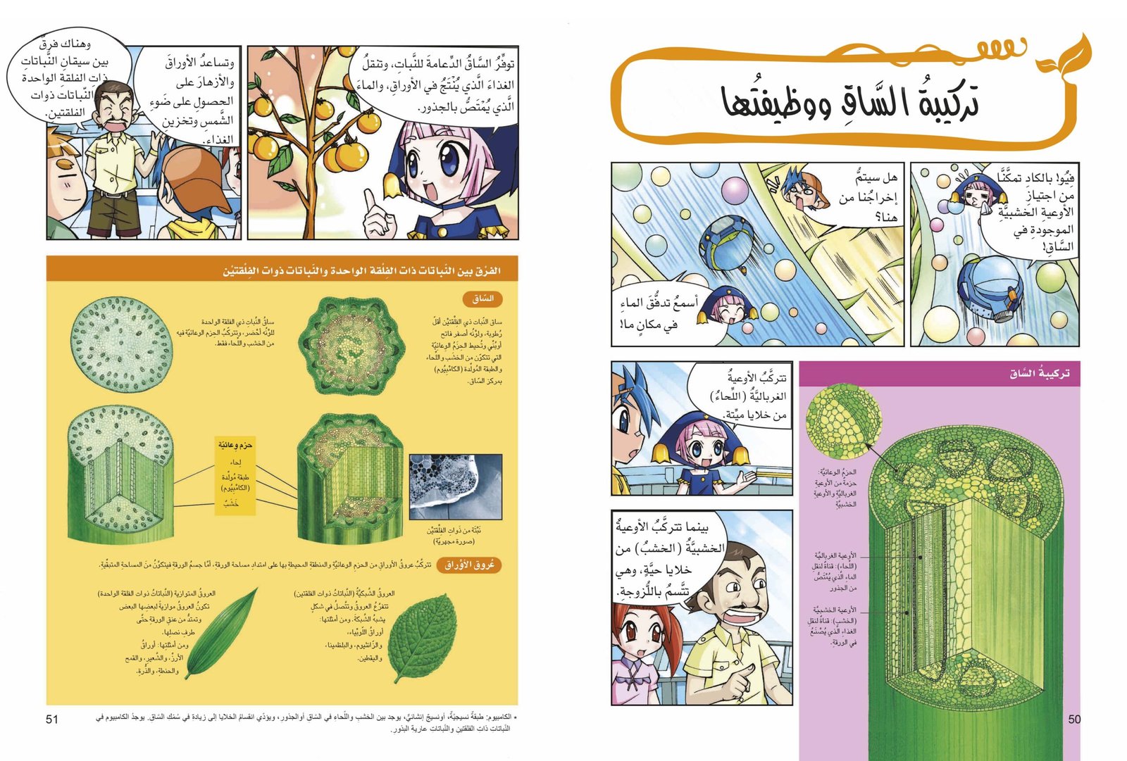 صفحتين من كتاب النباتات