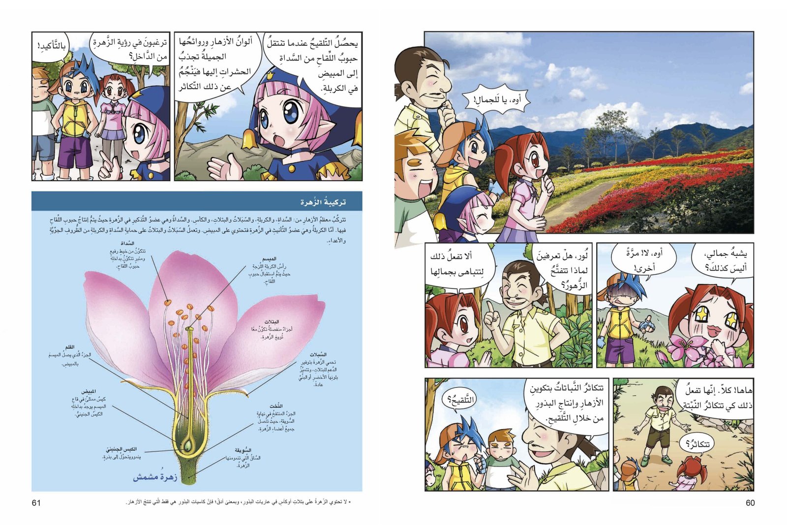صفحة 4