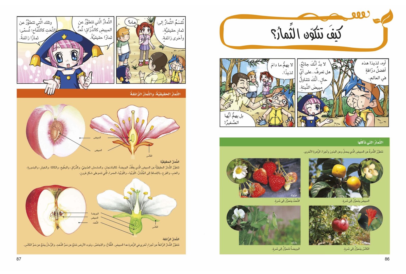 صفحة 3