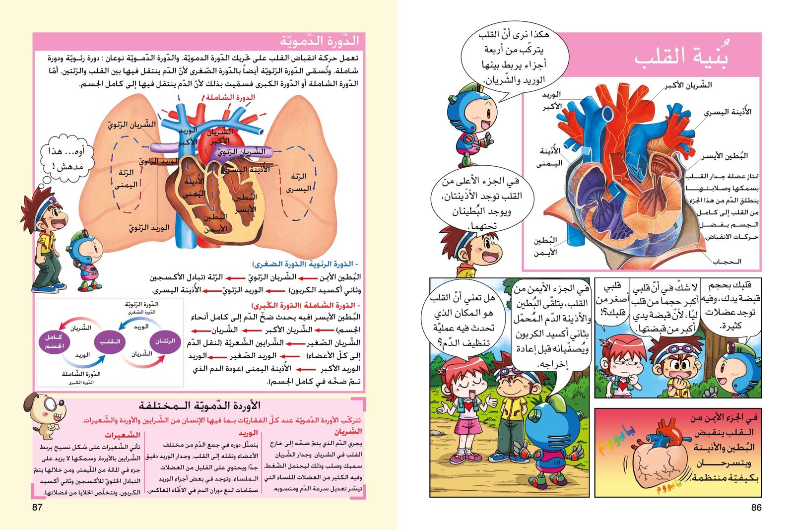صفحتين 86-87 من كتاب جسم الانسان