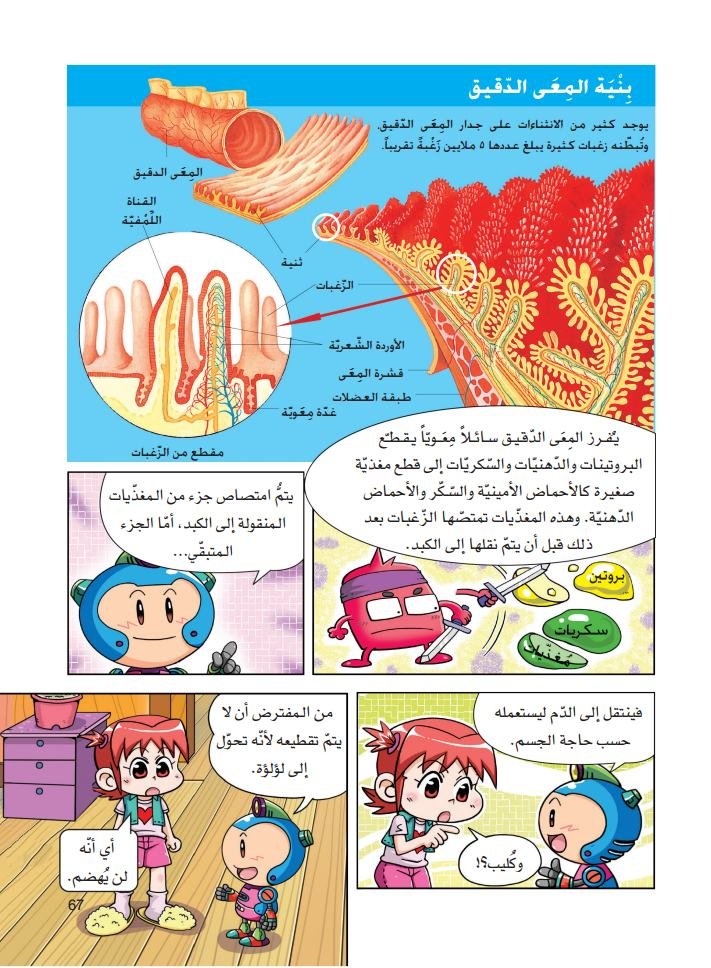 صفحة من كتاب جسم الانسان