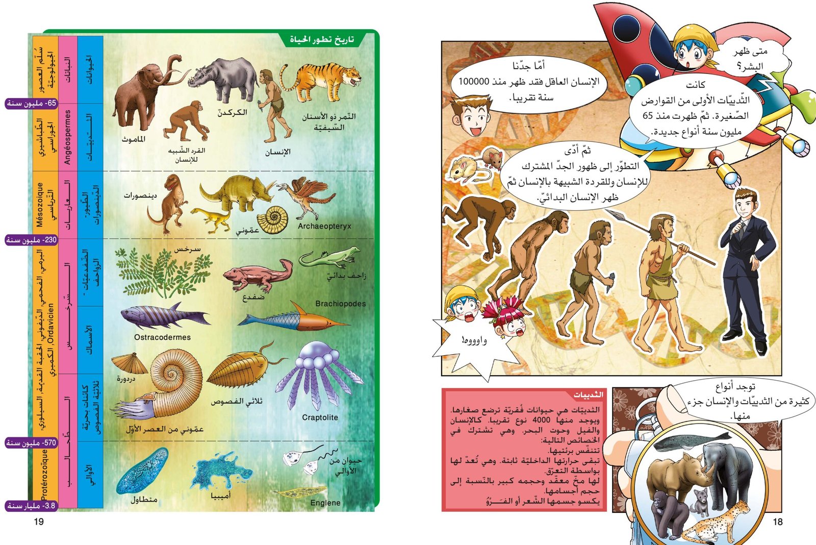 صفحة 4
