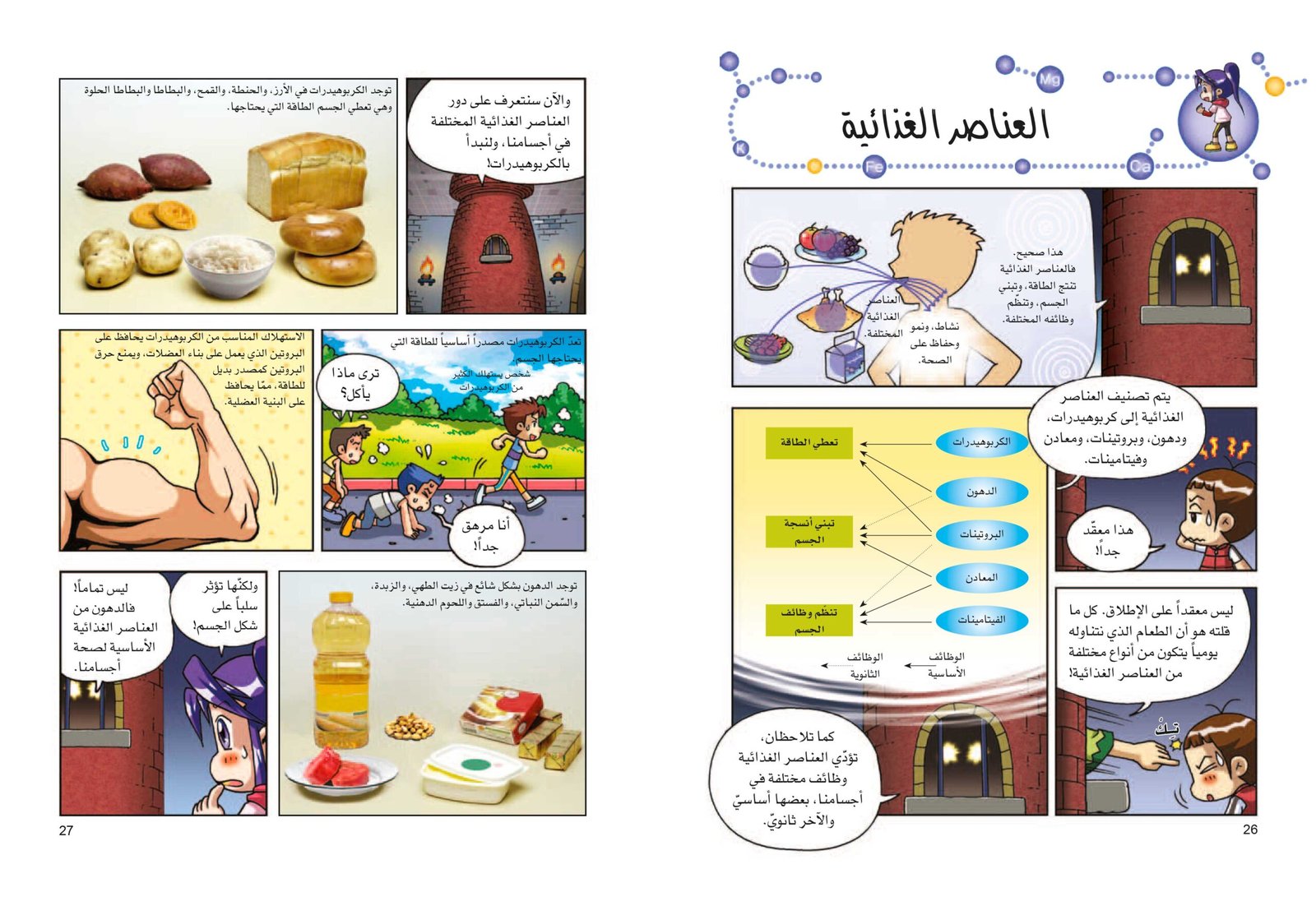 صفحتين 26-27 من كتاب الغذاء و التغذية