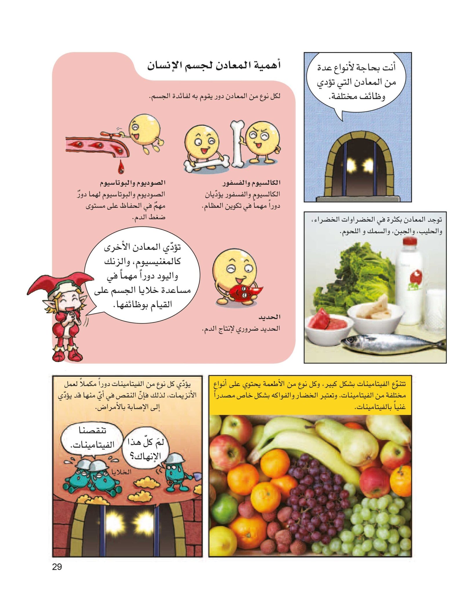 صفحة 29 من كتاب الغذاء و التغذية