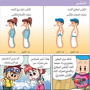 التّنفس البطني