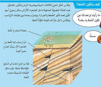 صفحة 2